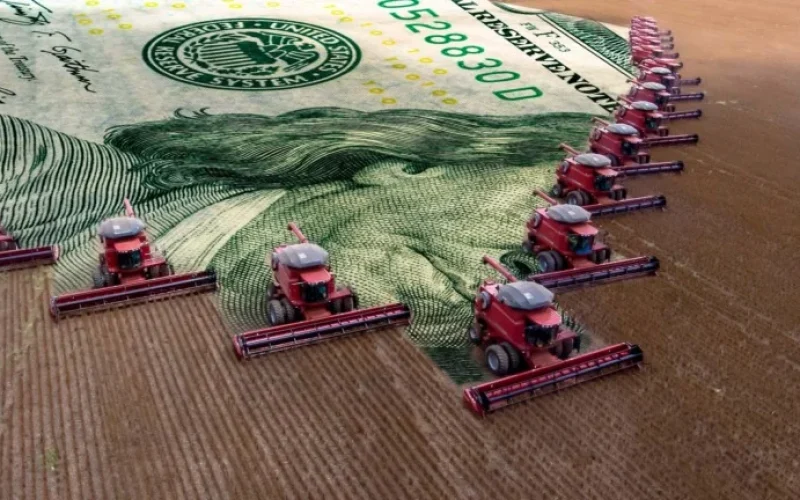 Crise nos Grãos: 051 Capital Injeta Capital Novo para Salvar Produtores Endividados com Oferta Exclusiva