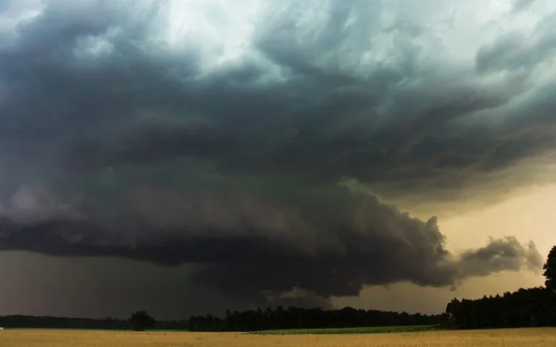 Clima Ameaça Safra de Soja: Produtores Alertam para Desafios Climáticos e Custos na Próxima Colheita
