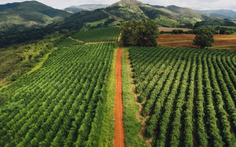 Inflação sob Controle? Inovações Agrícolas e Geopolítica Transformam a Sazonalidade dos Alimentos no Brasil