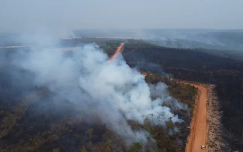 Seca em MT: Treinamento de Produtores de Soja Contra Incêndios é Crucial para Evitar Prejuízos Milionários