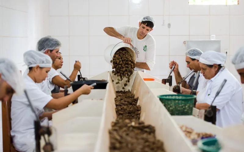 Consulta Pública Mercosul-UE: Última Chamada para Empresas Brasileiras Ampliarem Exportações Sustentáveis com Benefícios Adicionais