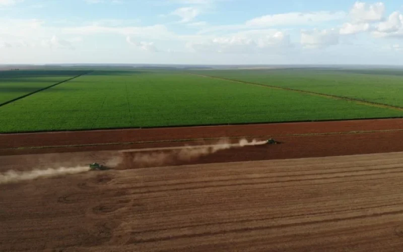 BrasilAgro Sinaliza Retorno às Vendas de Terras em 2027 Após Ano de Jejum e Anuncia Estratégia para Safra 2026/27