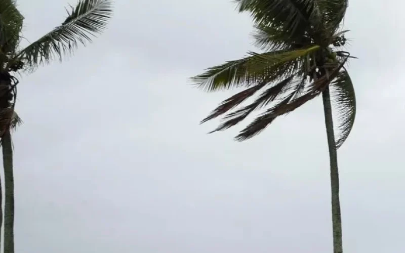 Frente Fria Incomum no Nordeste Alerta: Ventos de 70 km/h e Chuvas Fortes Ameaçam 4 Estados Brasileiros
