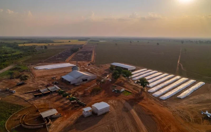 Agro Nova Fronteira: Como um Plano de Recuperação com Deságio de 70% Salva Grupo em Mato Grosso