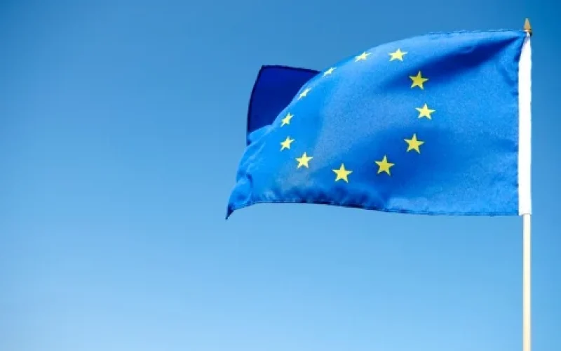 Carne de Aves e Mel do Brasil: União Europeia Abre Caminho para Importações Após Aprovação Sanitária