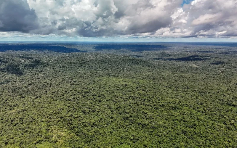 Brasil Captará US$ 1 Bilhão do BID para Acelerar Transição Ecológica com o Eco Invest Brasil