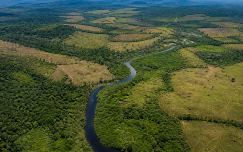Amazônia: 1,79 Milhão de Hectares em Terras Indígenas Precisam de Restauração Urgente para Potencial Econômico e Ambiental