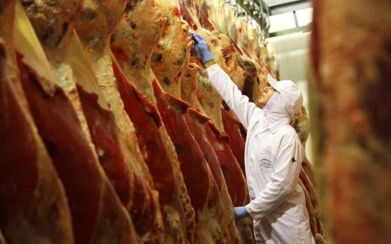Carne Bovina Brasileira: Exportação em Queda Livre em Agosto, Mas Preço Dispara e Surpreende Mercado