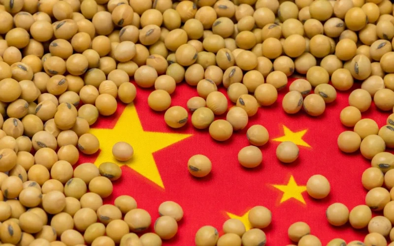Soja Chinesa em Crise: Visita de Xi aos EUA pode aliviar tarifas e salvar margens de processadores