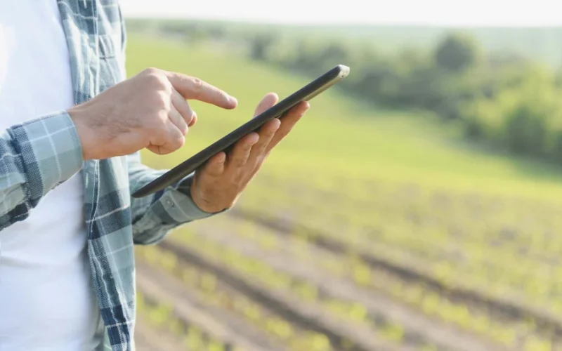 IA Generativa no Agro: Produtores na América Latina Lideram Adoção, Superando EUA e Média Global em Busca por Eficiência