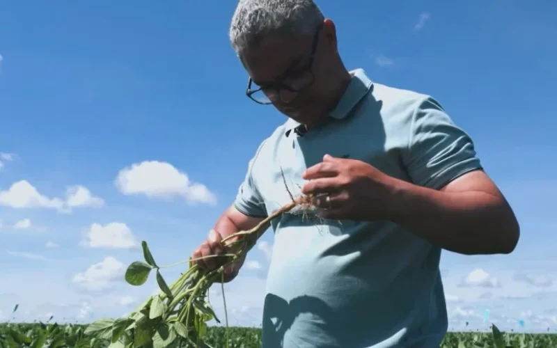 Soja em Alta: Produtor Brasileiro Segura Vendas da Safra 2026/27 em Meio a Temores Climáticos e Oportunidades de Lucro