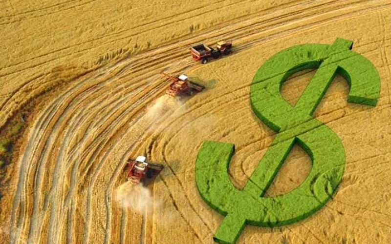 Soja Brasileira Dispara: Preços Batem Recordes com Oferta Restrita e Forte Alta em Chicago