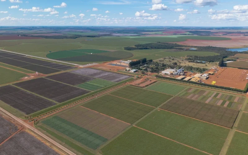 SLC Agrícola Anuncia Emissão Recorde de R$ 515 Milhões em Títulos do Agro: Entenda o Destino dos Recursos e o Impacto no Setor