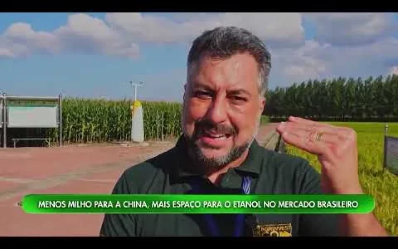 China Autossuficiente: Brasil Busca Novas Rotas para o Milho e Aposta no Etanol