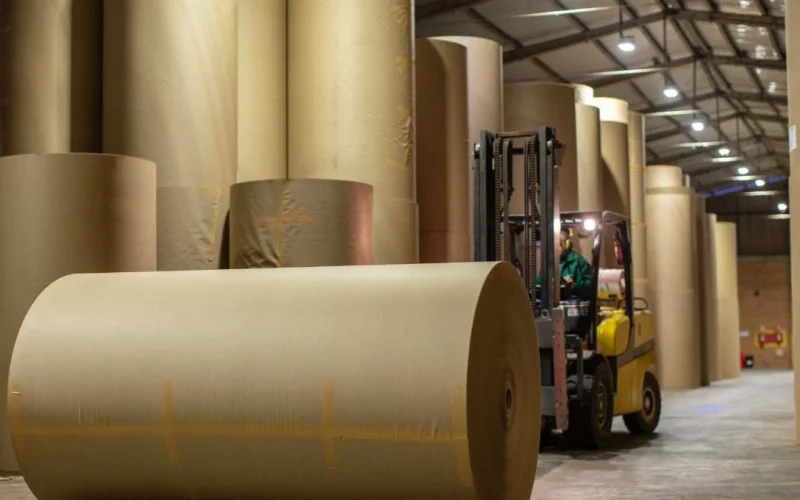 Irani (RANI3): Gigante do papel e celulose aprova plano bilionário de ações para executivos e atualiza recompra de papéis