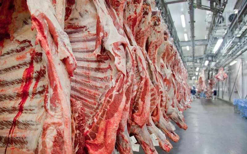 Exportação de Carne Bovina em Agosto: Queda de 25% na Receita Atinge Setor, Mas Acumulado Anual Mantém Crescimento; Entenda os Impactos