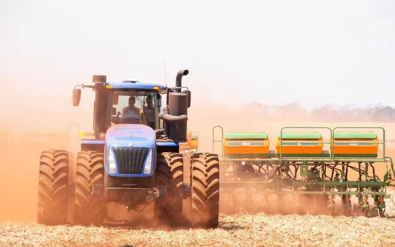 Soja no Paraná: Plantio Acelerado em 2026/27 Traz Vantagem Climática e Preços Sustentados, Diz Consultoria