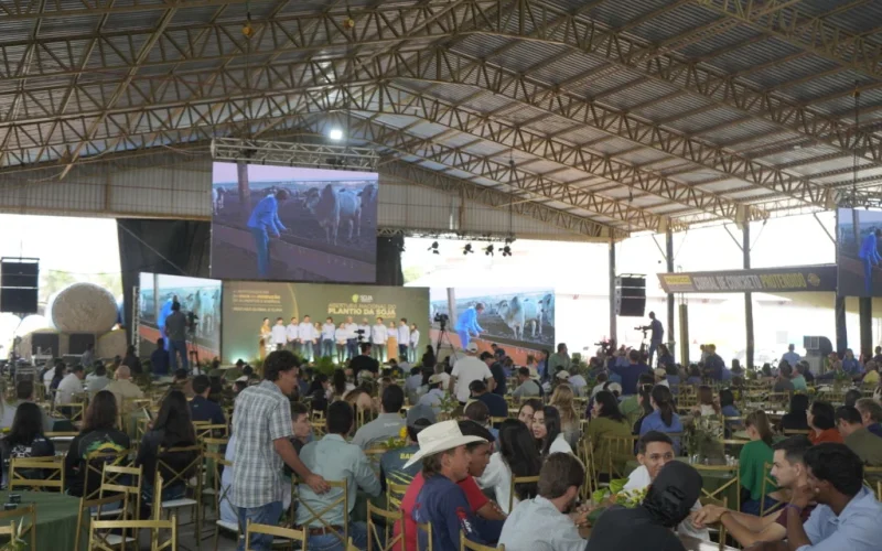 Verticalização da Soja: Família Pozzobon Revela Estratégia para Maximizar Lucros e Resiliência no Agro