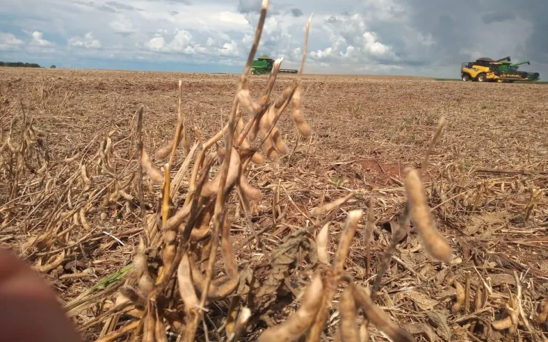Soja em Goiás: Antecipação do Plantio em 2026/2027 Gera Oportunidades e Desafios para Produtores e Mercado