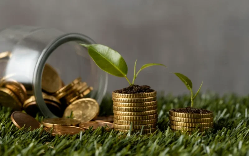 Crédito Rural Desmistificado: Guia Essencial para Produtores Entenderem Financiamentos e Seguros