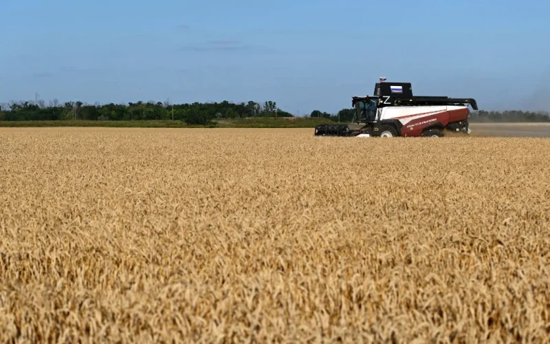 Brasil: Gigante Alimentar Sob Ameaça? Exportações Disparam, Mas Custos de Insumos Importados Preocupam