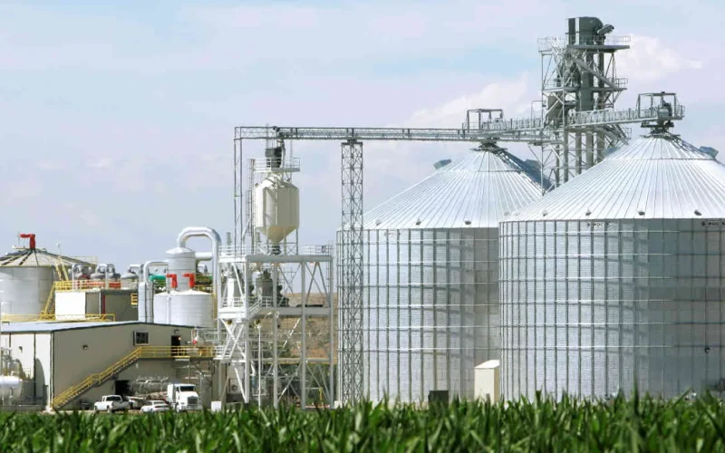 Crise no Golfo Pérsico Impulsiona Biocombustíveis Globais: Produção Crescerá 70% Até 2030, Mas Riscos Persistem