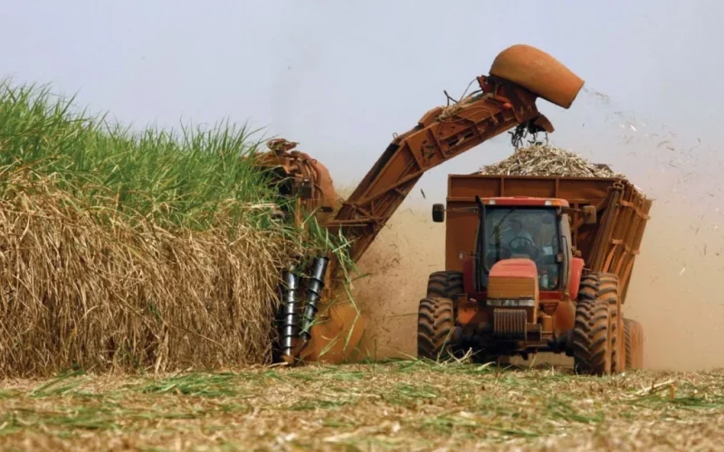 Alerta Agrícola: Chuvas Intensas Disparam Preços do Etanol e Açúcar, Impactando o Bolso do Consumidor