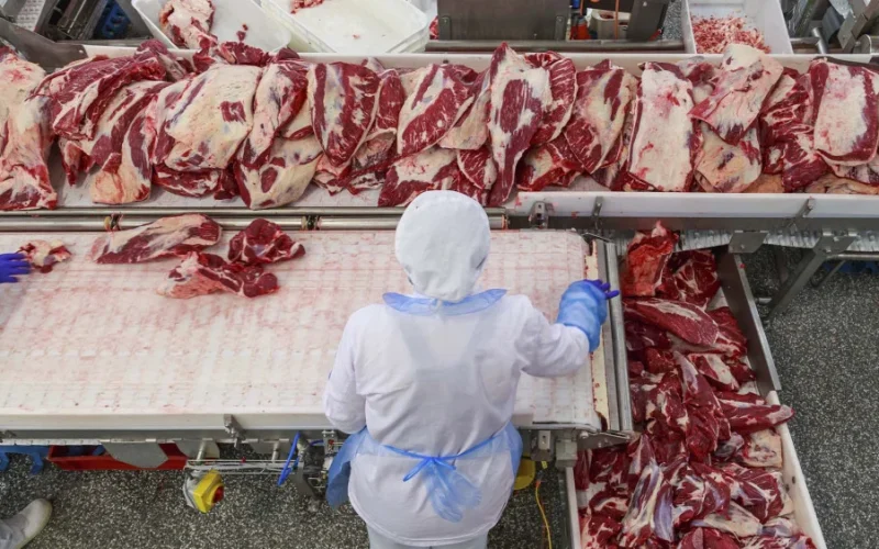Ação da Imigração nos EUA Derruba Abates de Bovinos: Preços da Carne Podem Subir no Brasil?
