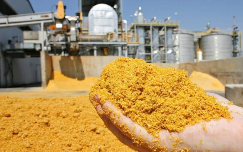 DDG: Produção Brasileira Pode Ultrapassar 15 Milhões de Toneladas Rumo a 2030, Impulsionando Usinas de Etanol de Milho