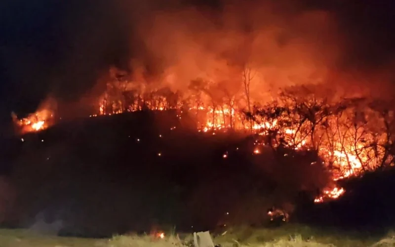 El Niño Amplifica Risco de Incêndios Rurais: 399 Cidades em Alerta! Medidas Cruciais para Produtores