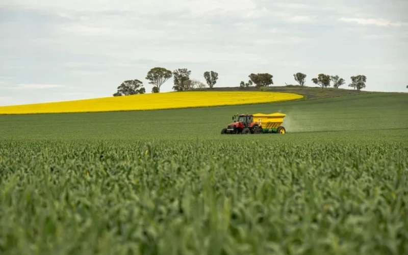 Leilões de Imóveis Rurais Disparam 30% em 2025: Advogado Revela Saídas Jurídicas para Produtores Endividados