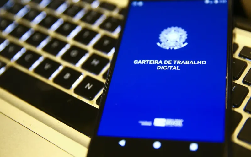 Taxa de Desemprego Cai para 5,3%: Menor Nível Desde 2012 e Recordes no Mercado de Trabalho Brasileiro