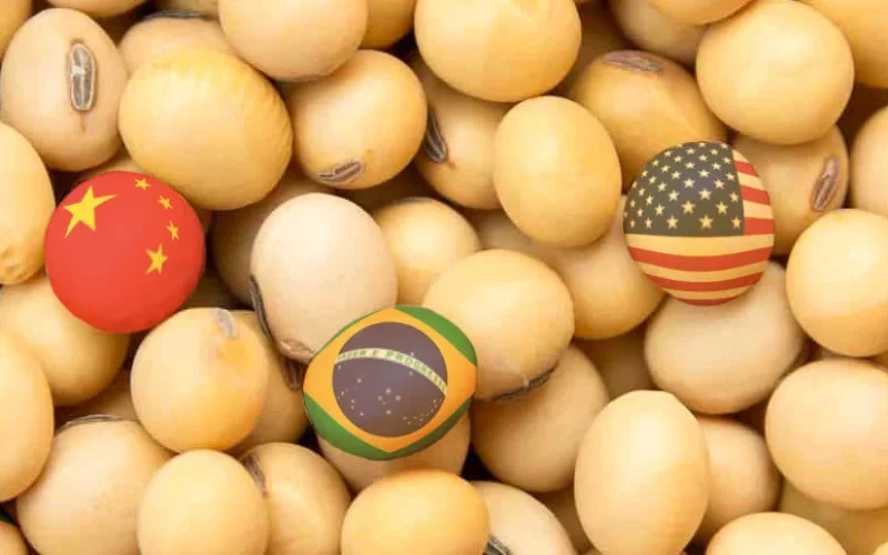 China Adia Compras de Soja: Mercado Alerta para Disputa Brasil x EUA e Futuro da Demanda Global