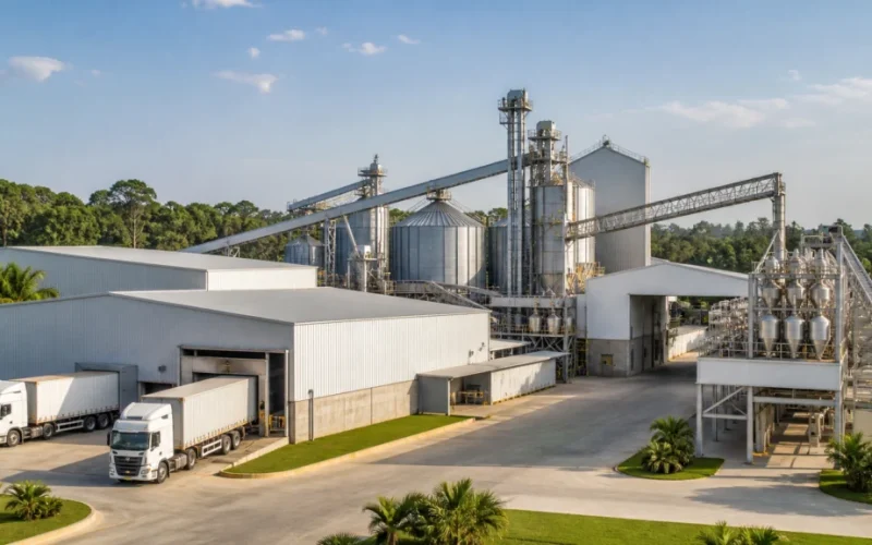 Cargill Injeta US$ 130 Milhões em Aves na Ásia: O Que Isso Significa para o Futuro da Proteína Animal e sua Carteira?