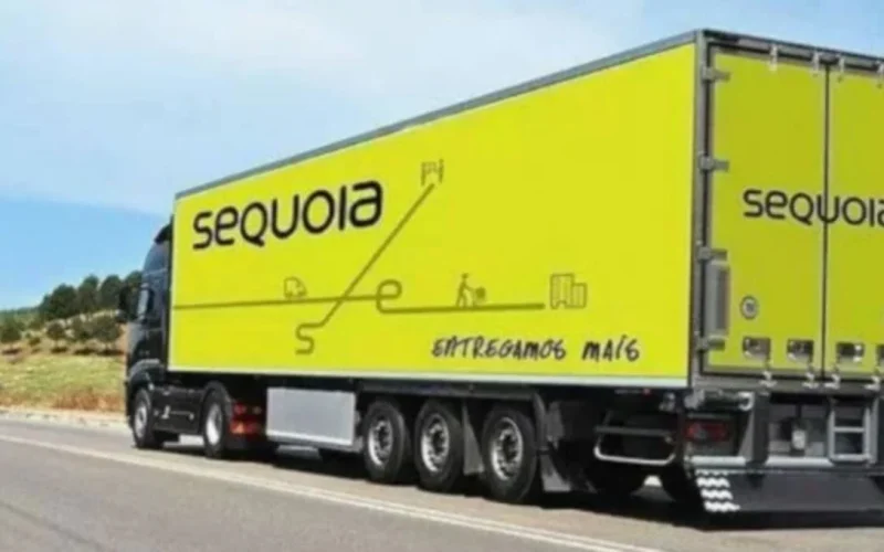 Sequoia (SEQL3) Anuncia Grupamento de Ações: Veja Prazos e Impactos para Investidores