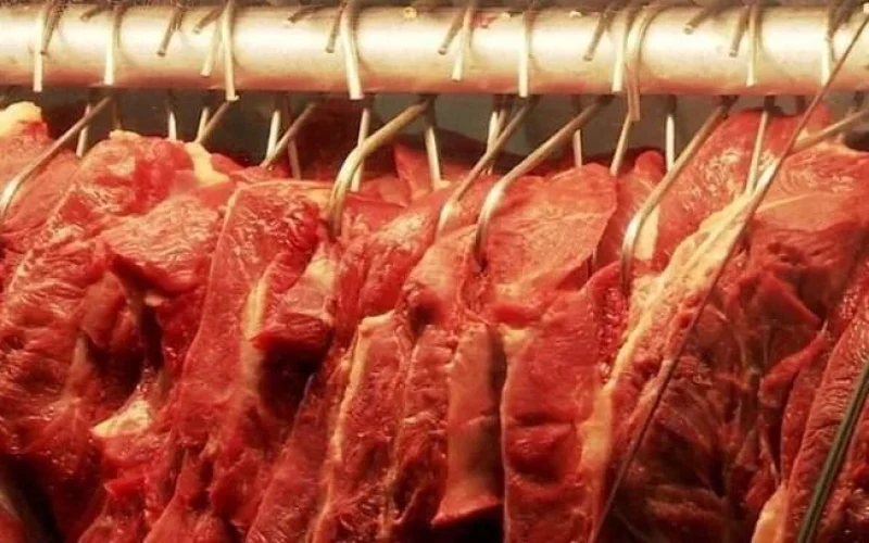 Carne Bovina Brasileira: EUA, Chile e Rússia Compensam Queda na China e Impulsionam Recorde em 2026
