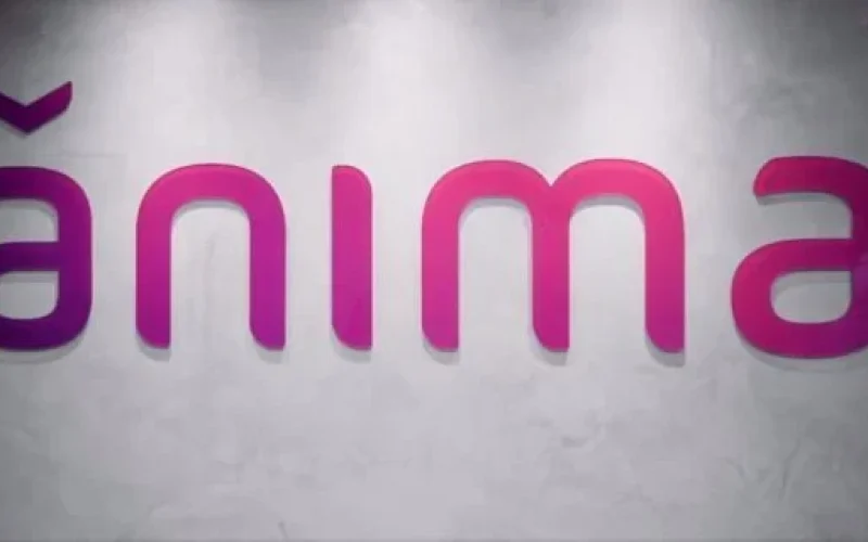 Ânima (ANIM3) Reverte Lucro em Prejuízo no 4º Tri de 2025: Despesas Financeiras Disparam e Selic Impacta Resultados