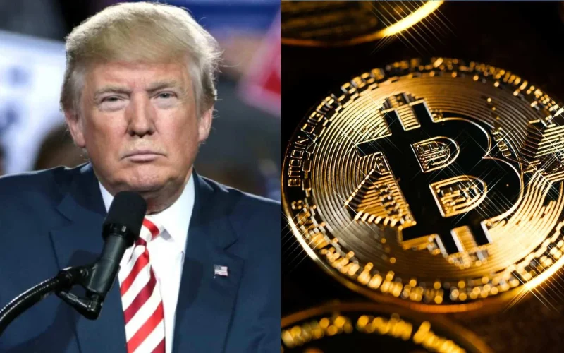 Após Queda de 96%, Nova Memecoin com Potencial de Multiplicação de 300x Surge no Radar de Especialistas: Conheça o Memebot One Million