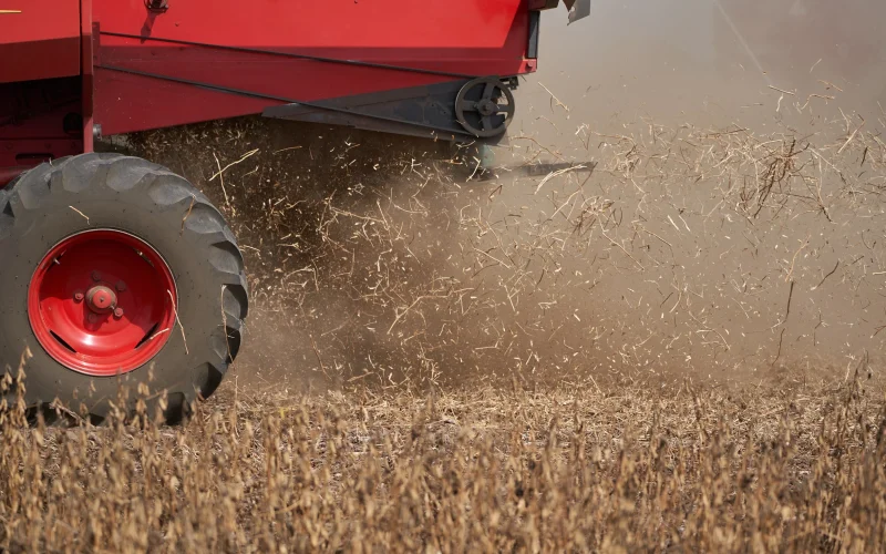 Alta do Diesel Impacta Exportações de Soja do Brasil: Custos de Frete Ameaçam Lucratividade e Fornecimento Global