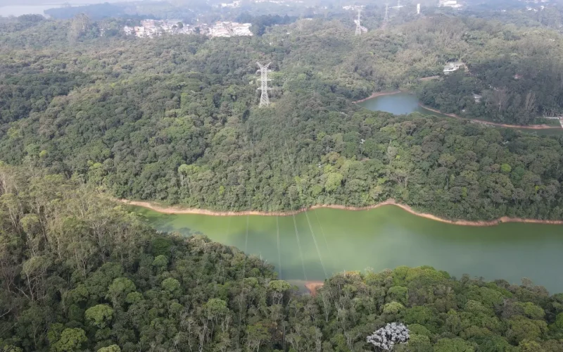 ISA Energia Aprova Conversão de Ações ON em PN: Entenda o Impacto para Acionistas e o Mercado