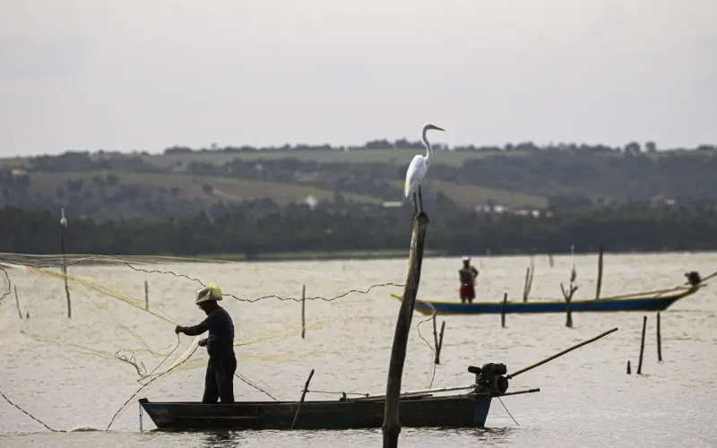 Sexto Lote do Seguro-Defeso Libera R$ 179,7 Milhões para 110.904 Pescadores Artesanais na Terça-feira (24)