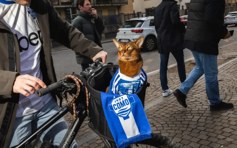 Do Fundo do Poço à Série A: Como o Como FC Renasceu com Donos Bilionários e Transformou o Futebol Italiano