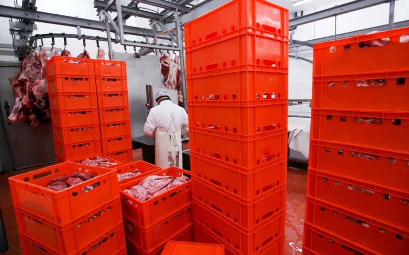 MBRF3 Dispara na Bolsa: Frigorífico convoca acionistas em meio a otimismo com Oriente Médio e projeções futuras