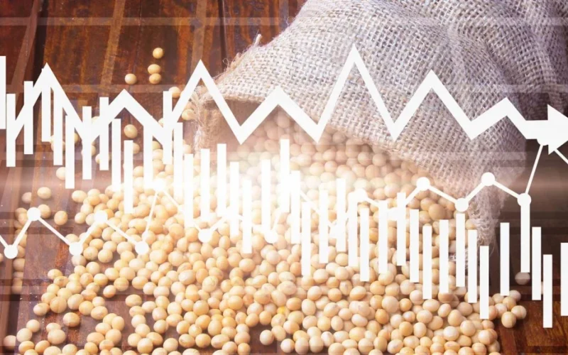 Margens de Produtores de Soja Podem Caindo em 2026/27: Análise da Agroconsult Aponta Aperto Financeiro