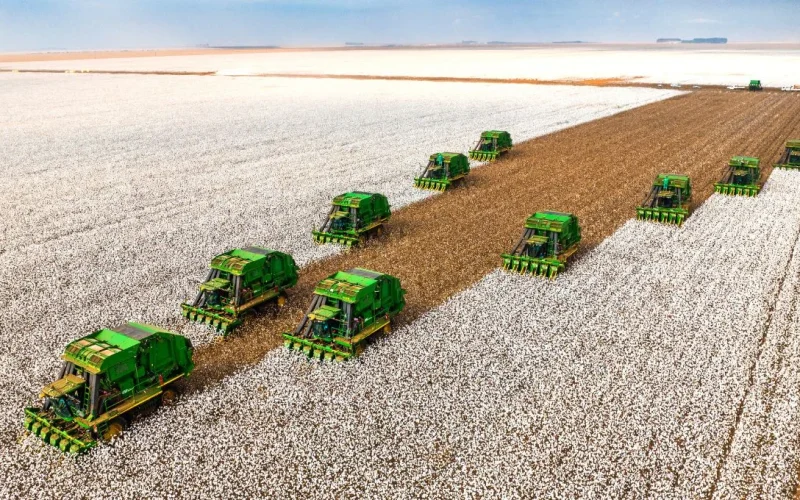 Guerra no Oriente Médio: Após Petróleo, Commodities Agrícolas Sobem e Ameaçam Inflação Global; Onde Investir?