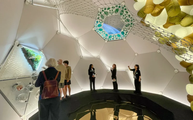 OpenSnow: A Revolução Meteorológica das Montanhas Nevadas e o Futuro Congelado da Ciência