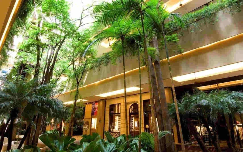 JHSF Eleva Padrão de Luxo: Shopping Cidade Jardim Recebe Marcas Internacionais Exclusivas e Expande Área