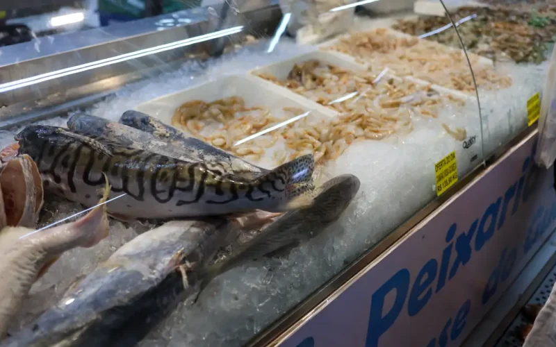 Semana Santa: Vigilância Sanitária Revela Segredos para Comprar Pescado Fresco e Evitar Intoxicações