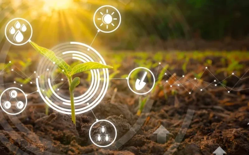 Biofungicidas Lideram Crescimento Explosivo no Mercado de Bioinsumos: Um Panorama Detalhado do Agronegócio Brasileiro