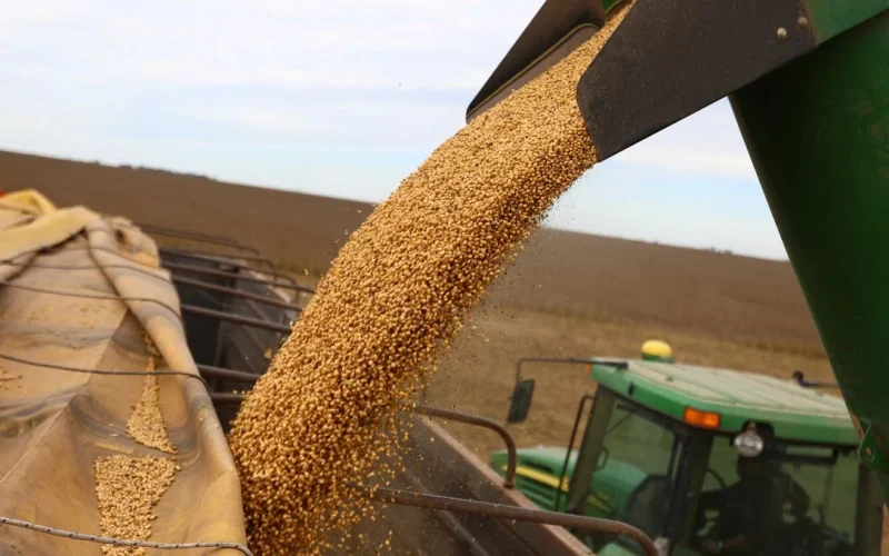 Milho e Soja Disparam em Chicago: USDA Revela Menos Milho, Mais Soja e Demanda Forte Impulsionam Preços